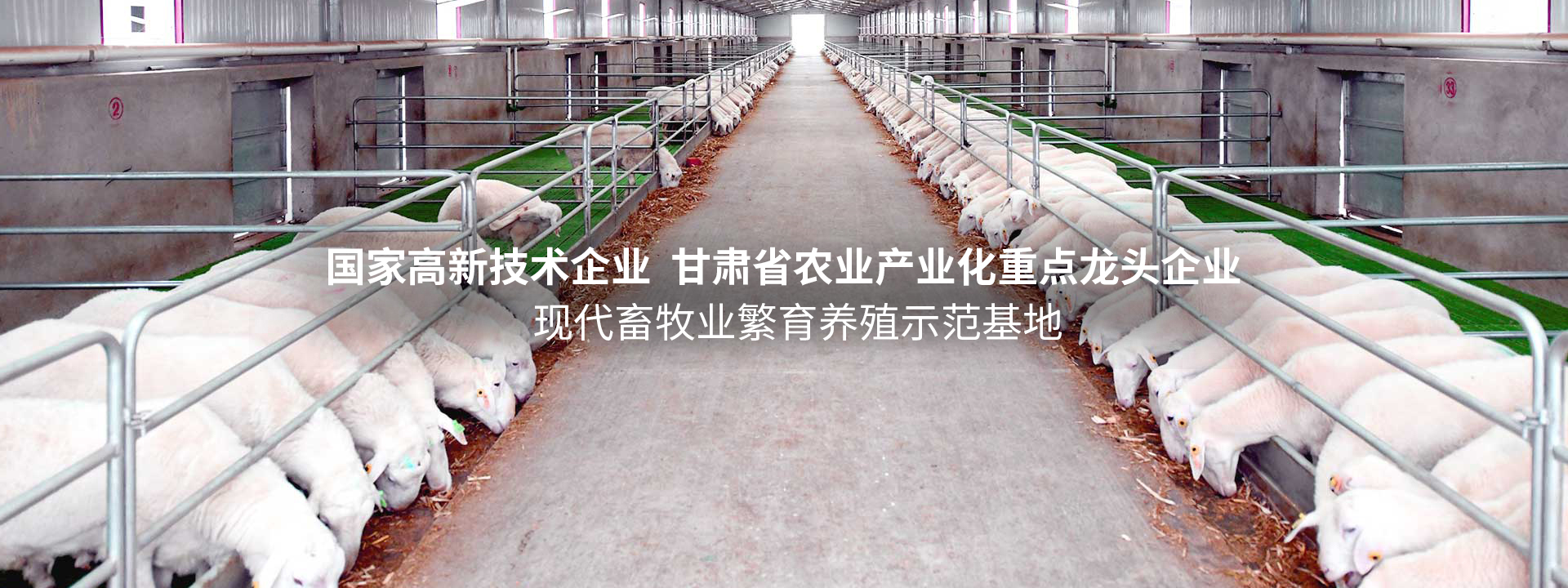 bob综合体育app下载